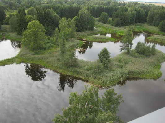 Litauen Karstseen Kirkilai